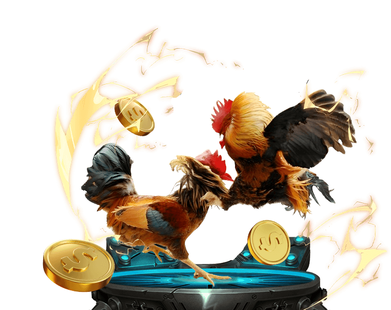 Hình ảnh minh họa quy trình nạp và rút tiền an toàn, nhanh chóng tại daga88, với các phương thức thanh toán đa dạng.